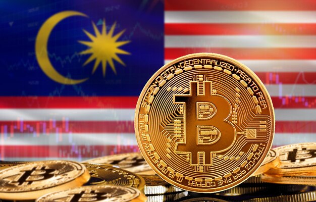 Malaysian Crypto Investors